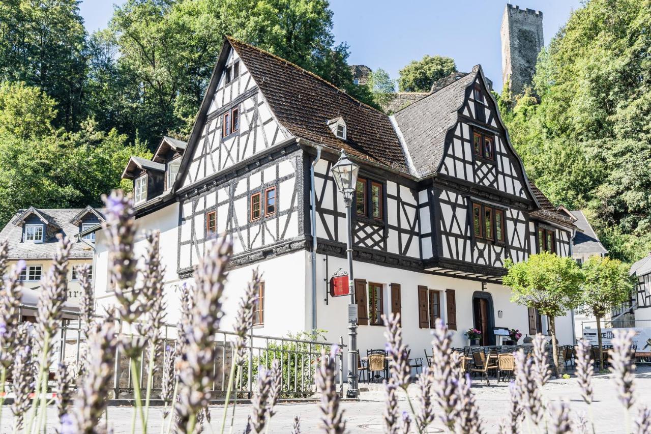 Landgasthof Zur Burg Grenzau Höhr-Grenzhausen Eksteriør bilde